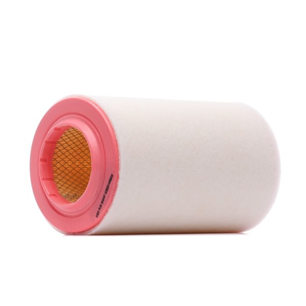RIDEX PLUS 8A1641P Air filter