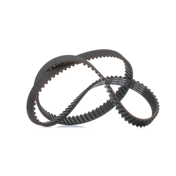 Kamrem 306T0042P RIDEX PLUS 054109119E NISSAN