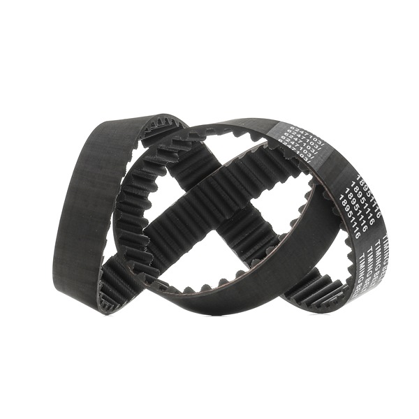 Courroie de distribution 306T0088P RIDEX PLUS 14400P2A004 Volkswagen