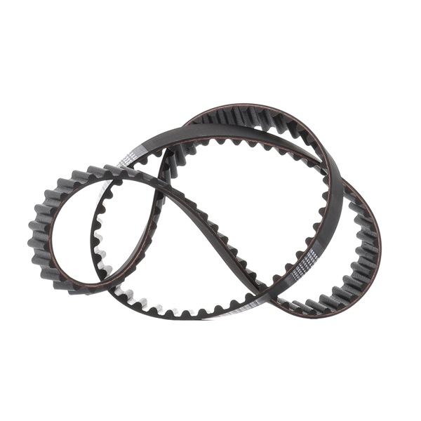 RIDEX PLUS 306T0094P Cinghia dentata