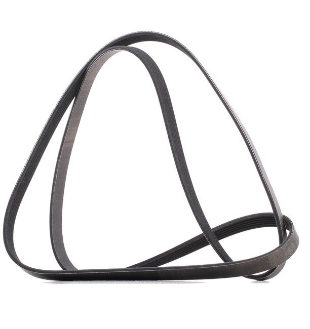 Correia trapezoidal estriada 305P0095P RIDEX PLUS 1128 7 786 075 BMW