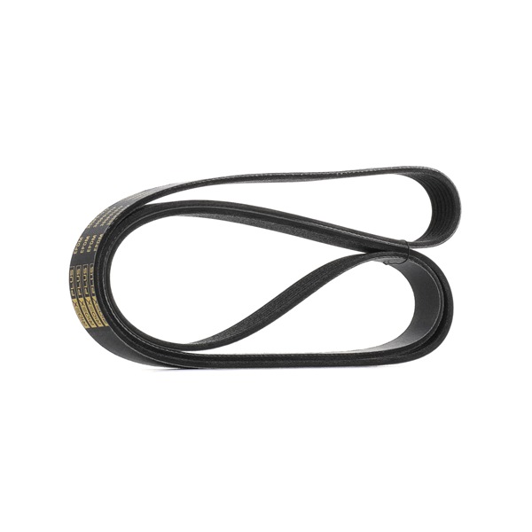 RIDEX PLUS 305P0107P Courroie Poly-V