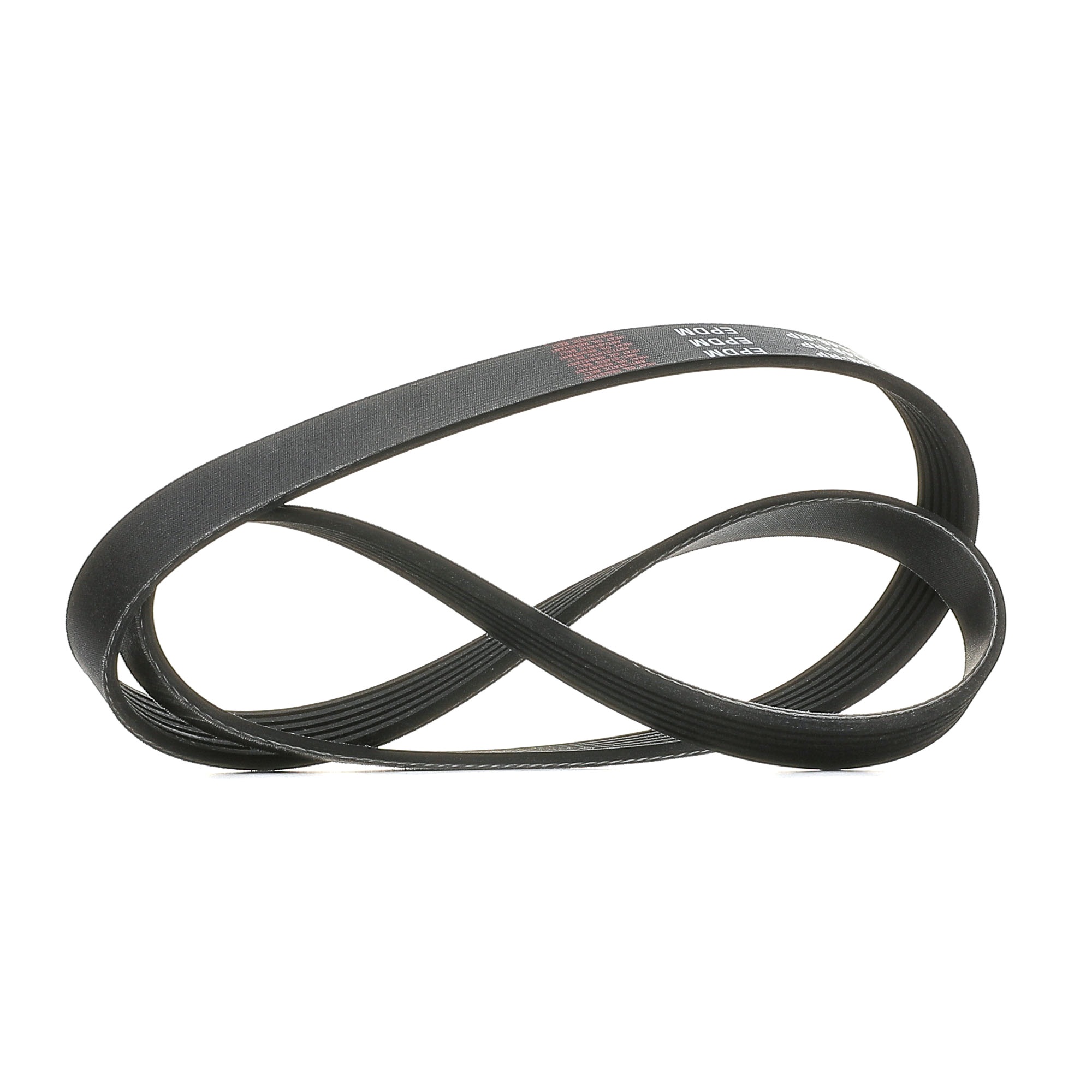 Side view of RIDEX PLUS 305P0061P V-ribbed belt