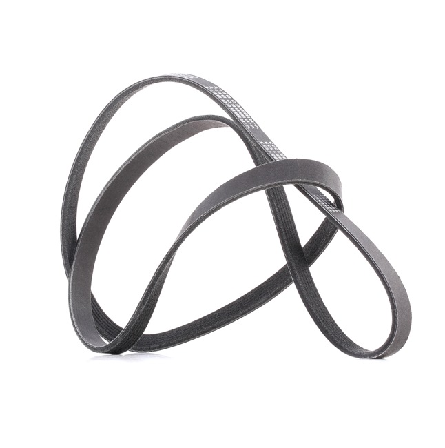 RIDEX PLUS 305P0077P Rillenriemen Volvo S40 1 1.6 109 PS Benzin Kosten