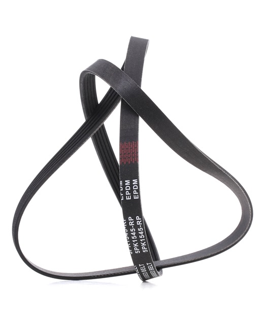 RIDEX PLUS 305P0041P Courroie Poly-V