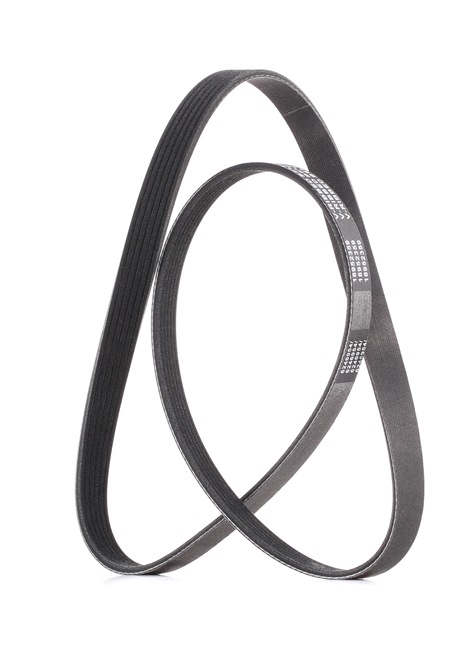 RIDEX PLUS 305P0179P Courroie Poly-V