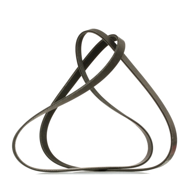 RIDEX PLUS 305P0333P Correa trapecial poli V