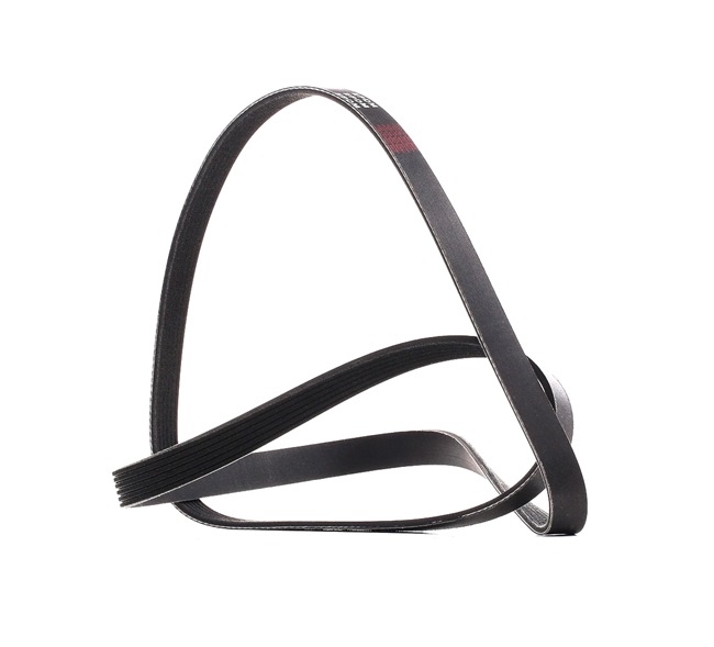 Multiriem 305P0181P RIDEX PLUS 1418182 FORD