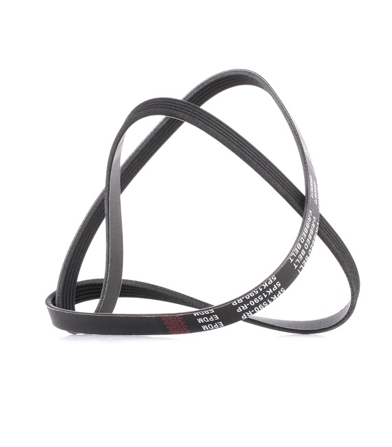 305P0042P RIDEX PLUS Cinghia servizi prezzo