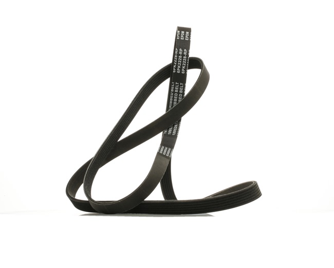 Courroie Poly-V 305P0098P RIDEX PLUS 1 387 692 BMW