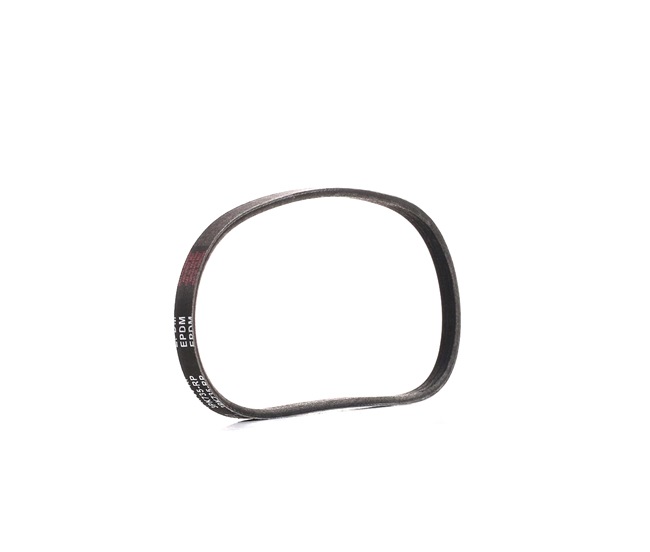 Cinghia servizi 305P0003P RIDEX PLUS 1172000Q3D FIAT