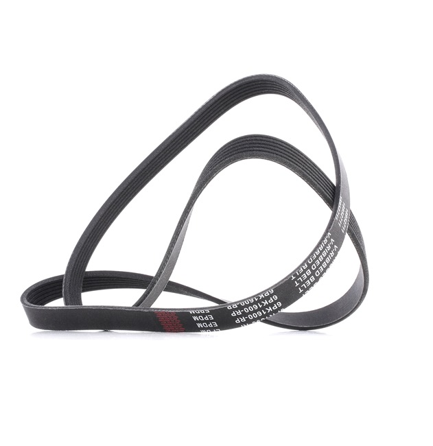 Multirem 305P0250P RIDEX PLUS 5750-R7 VW