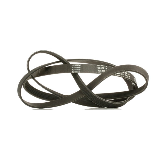 RIDEX PLUS 305P0162P Cinghia servizi