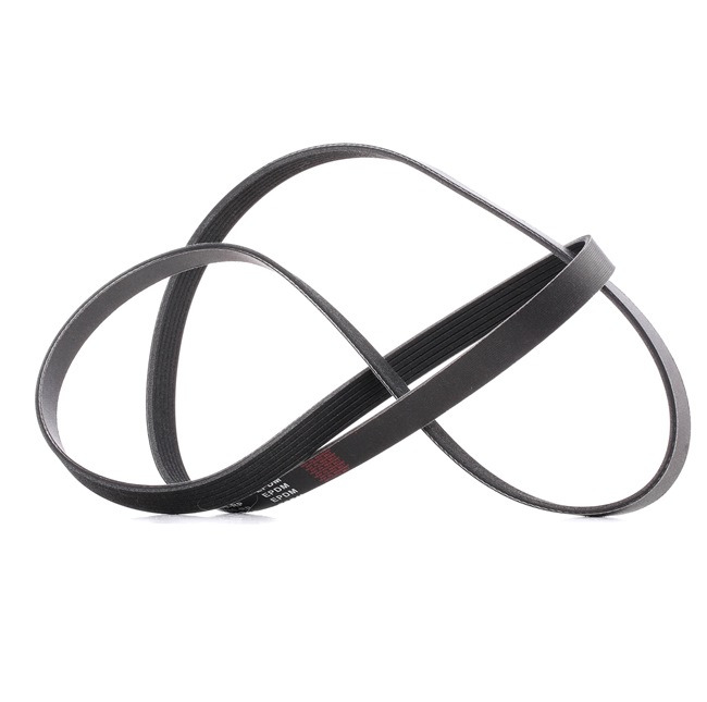 RIDEX PLUS 305P0508P Ozubený klinový remeň