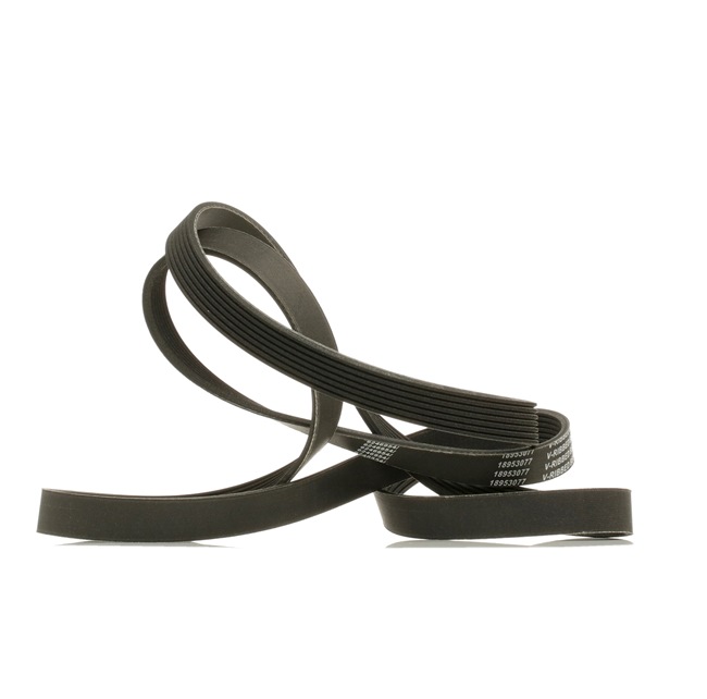 Courroie Poly-V 305P0229P RIDEX PLUS PQR500320 TOYOTA