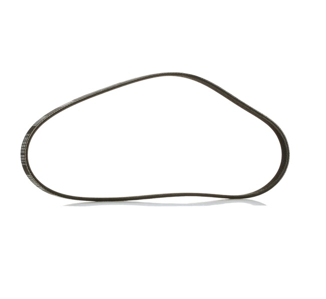 Courroie Poly-V 305P0553P RIDEX PLUS 4751 659 Volkswagen