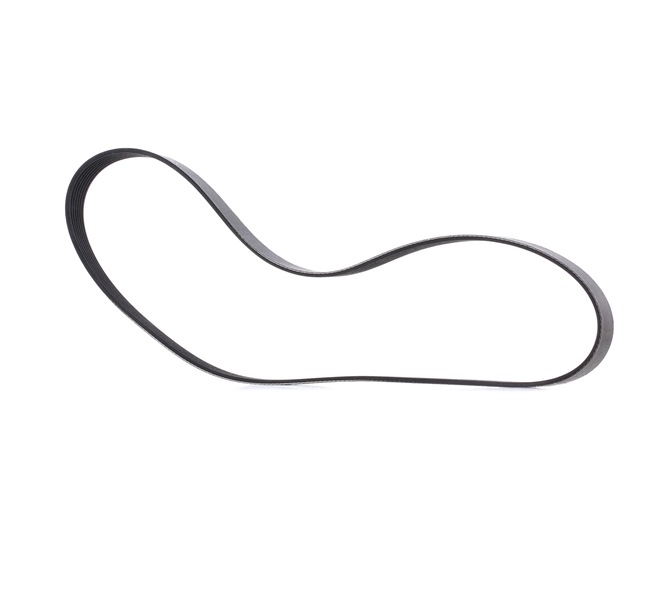 RIDEX PLUS 305P0489P Correa trapecial poli V
