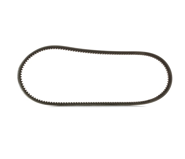 V-riem 10C0036P RIDEX PLUS 02117-95023 RENAULT