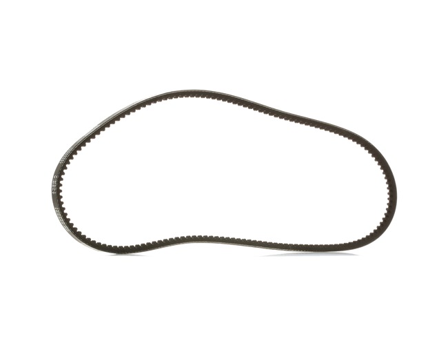 Ķīļsiksna 10C0031P RIDEX PLUS 966911 Volkswagen