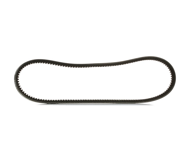 Cinghia trapezoidale 10C0073P RIDEX PLUS 02117 93523 AUDI