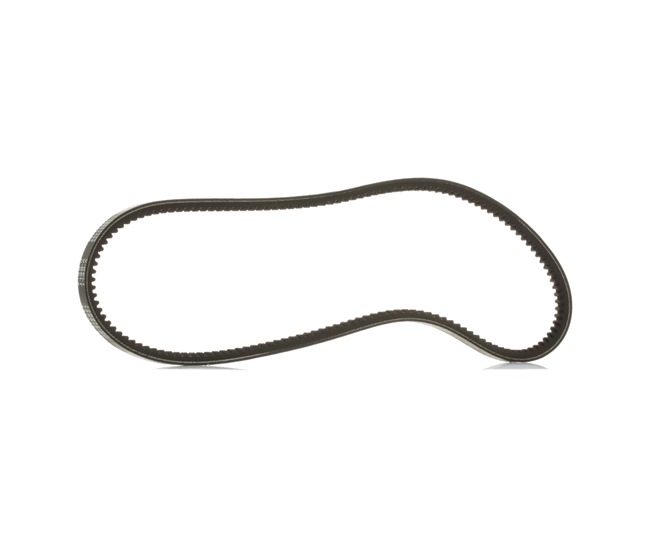 Courroie trapézoïdale 10C0061P RIDEX PLUS 034260849 AUDI
