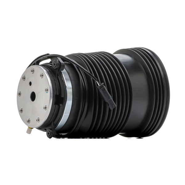 Mola pneumática 4119A0131 RIDEX 213 320 02 25 MERCEDES-BENZ