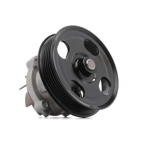 RIDEX PLUS 1260W0021P Pompe du liquide de refroidissement Fiat Punto mk3 199 1.3 D Multijet 75 CV Diesel prix