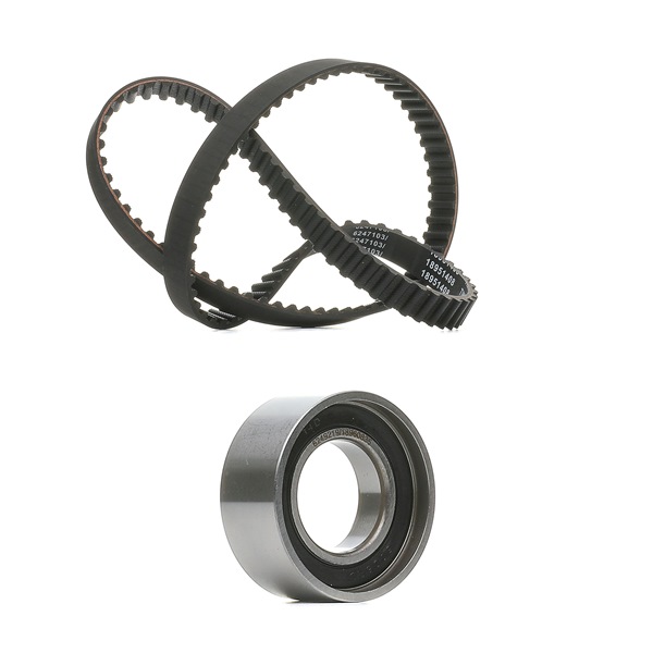 RIDEX PLUS 307T0073P Timing belt kit