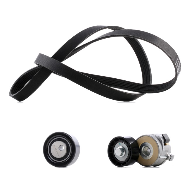 RIDEX PLUS 542R0048P Poly v riem set Citroen Jumpy Van 1.6 HDi 16V 90 Pk Diesel prijs