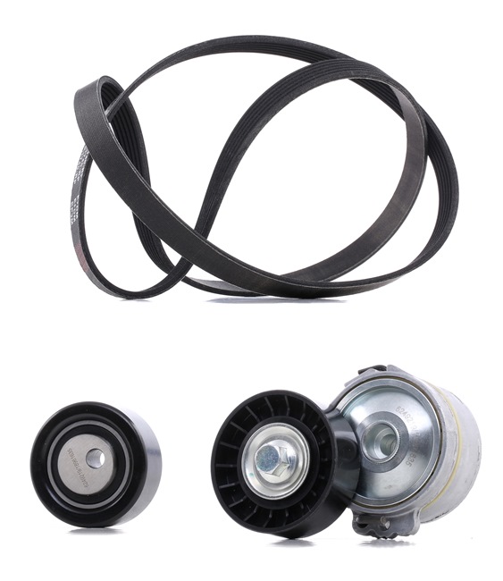 V-Ribbed Belt Set 542R0002P RIDEX PLUS 96 448 466 80 BMW
