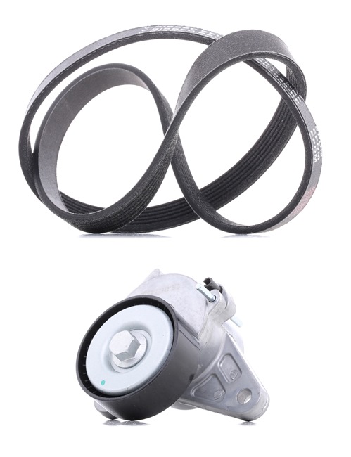 RIDEX PLUS 542R0122P Sada klinového rebrovaného remena Seat Leon 5f 1.6 TDI 115 KS nafta cena