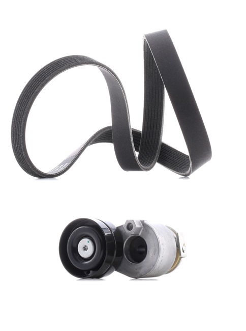 RIDEX PLUS 542R0029P V-Ribbed Belt Set