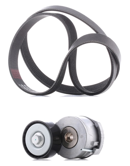 RIDEX PLUS 542R0125P V-Ribbed Belt Set