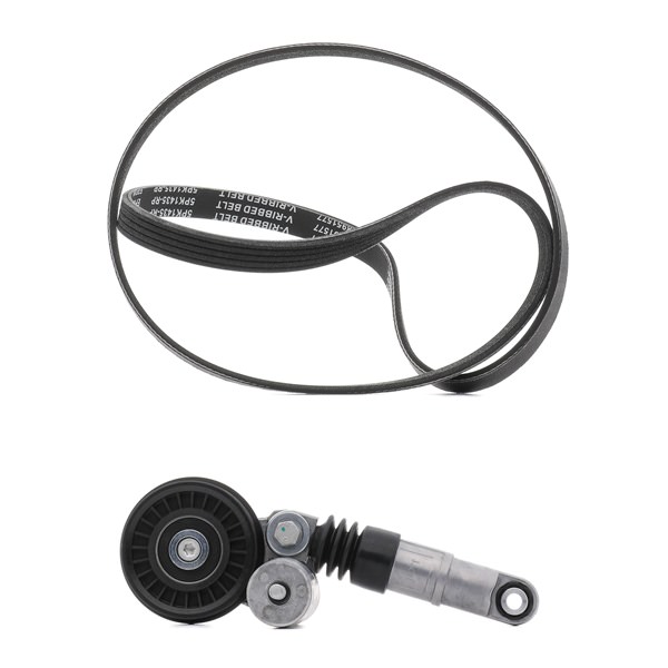 RIDEX PLUS 542R0069P Poly v riem set Audi A4 B5 1.9 TDI 116 Pk Diesel prijs