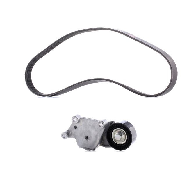 RIDEX PLUS 542R0114P Kileremssæt Ford Transit Connect MK2 1.5 TDCi 101 HK Diesel pris