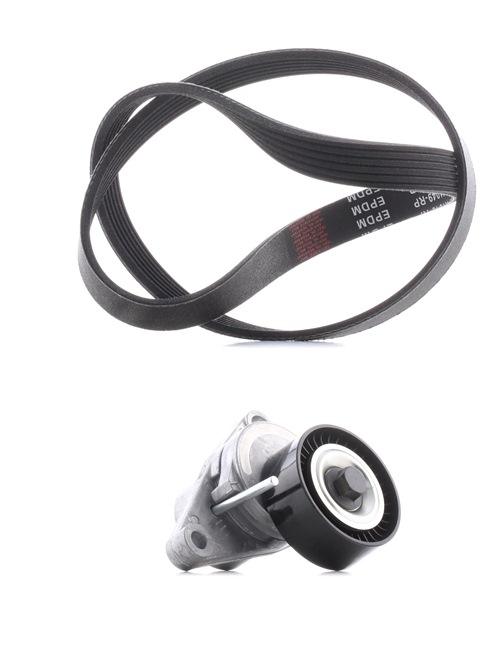 RIDEX PLUS 542R0006P Keilrippenriemensatz Citroën C4 Mk1 1.6 16V Bio-Flex 109 PS Benzin/Ethanol Kosten
