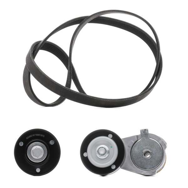 RIDEX PLUS 542R0107P Keilrippenriemensatz VW Bora 1j2 1.4 16V 75 PS Benzin Kosten