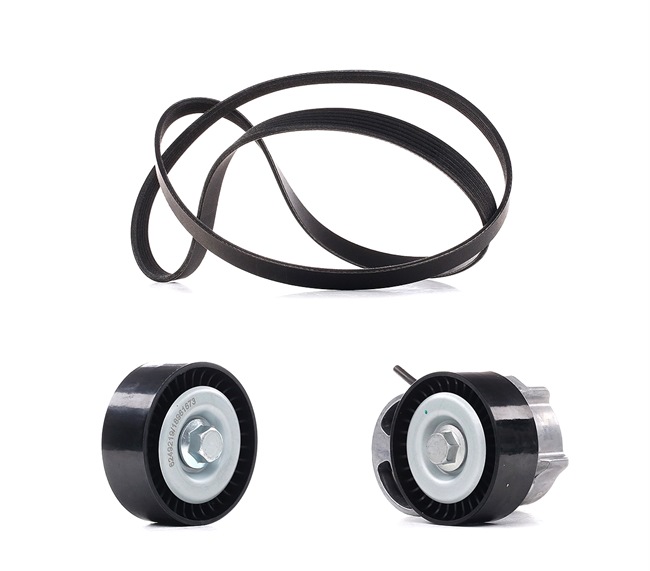 RIDEX PLUS 542R0110P Keilrippenriemensatz BMW E87 118i 2.0 143 PS Benzin Kosten
