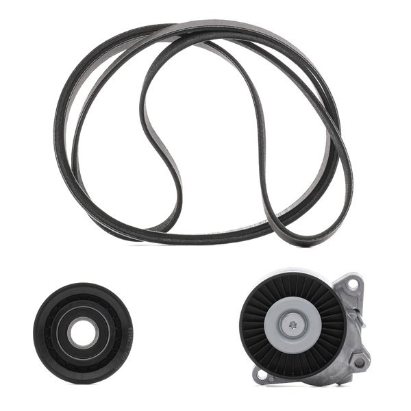 RIDEX PLUS 542R0498P V-Ribbed Belt Set