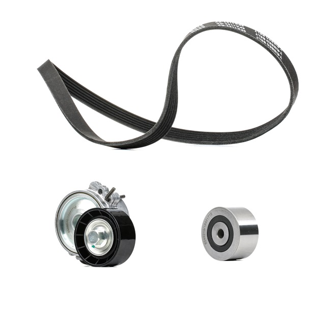 RIDEX PLUS 542R0052P V-Ribbed Belt Set
