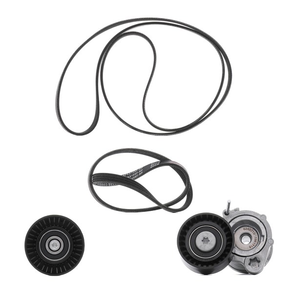 RIDEX PLUS 542R0071P Jeu de courroies trapézoïdales à nervures