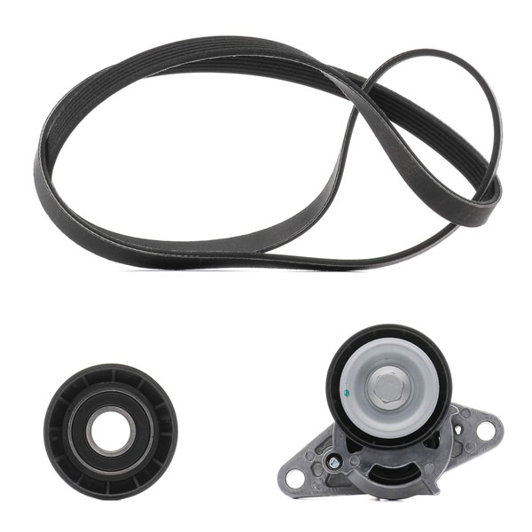 Ķīļrievu siksnu komplekts 542R0082P RIDEX PLUS 77 01 477 527 RENAULT
