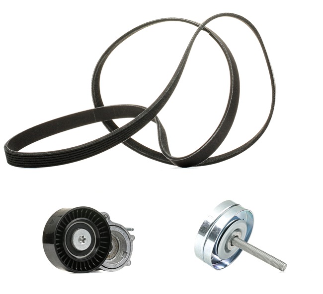RIDEX PLUS 542R0225P Poly v riem set Polo 9N 1.2 60 Pk Benzine prijs