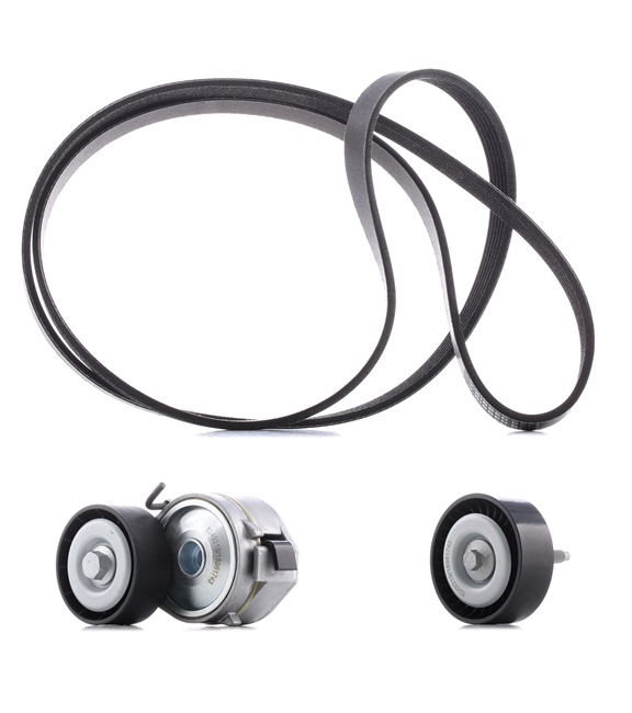 RIDEX PLUS Zestaw paska klinowego wielorowkowego 542R0046P Zestaw paska klinowego wielorowkowego VOLVO RIDEX PLUS 542R0046P