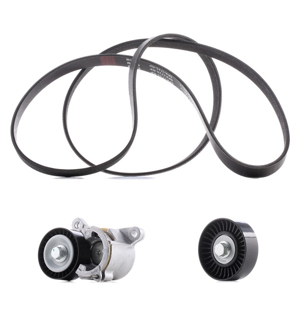 RIDEX PLUS 542R0154P Poly v riem set Peugeot 406 Station Wagon 2.0 16V 136 Pk Benzine prijs