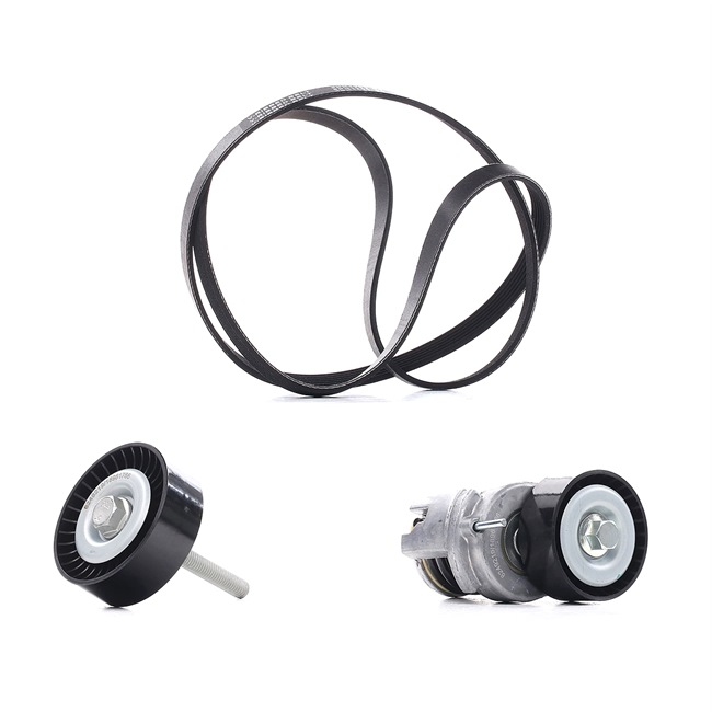RIDEX PLUS 542R0281P Poly v riemen kit Skoda Rapid nh1 1.4 TSI 122 Pk Benzine prijs