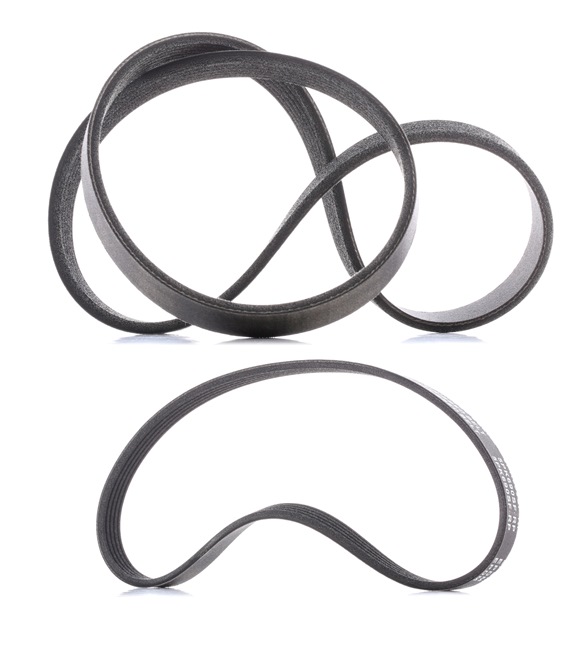 RIDEX PLUS 542R0018P Poly v riem set Ford Fiesta Mk4 1.6 98 Pk Benzine prijs