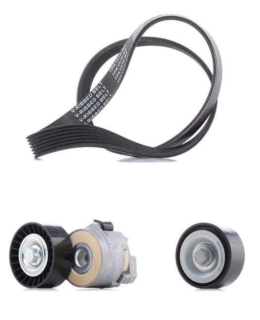 RIDEX PLUS 542R0221P Keilrippenriemensatz Iveco Daily 3 2.8 29 L 11 105 PS Diesel Kosten