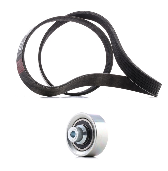RIDEX PLUS 542R0003P Jeu de courroies trapézoïdales à nervures