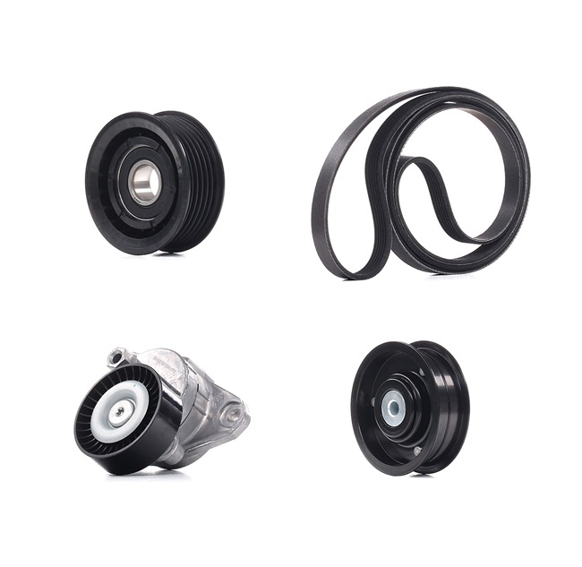 RIDEX PLUS 542R0364P Jeu de courroies trapézoïdales à nervures